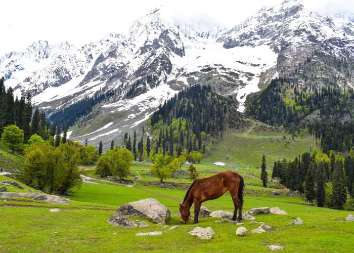 Kashmir Tour Package